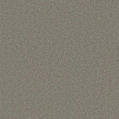 Grizzly 24oz Cut Pile Carpet Flooring - Forest