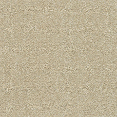 Polar 40oz Cut Pile Carpet Flooring - Ice