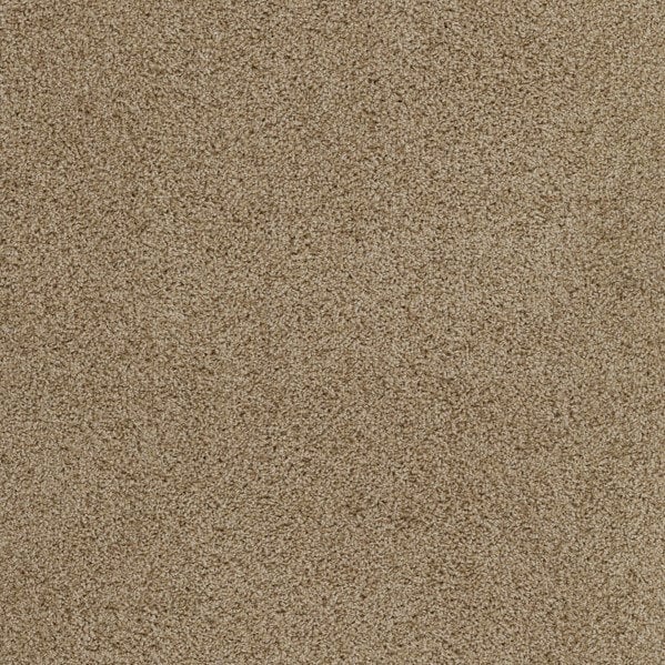 Plush Carpet In A Box - 24" x 40"- 35oz - Serenity Collection - Harb