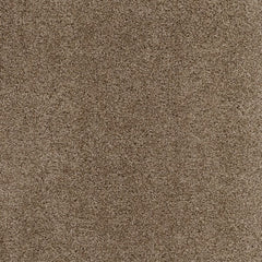Plush Carpet In A Box - 24" x 40"- 35oz - Serenity Collection - Regis