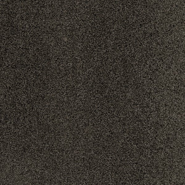Plush Carpet In A Box - 24" x 40"- 35oz - Serenity Collection - Douglas