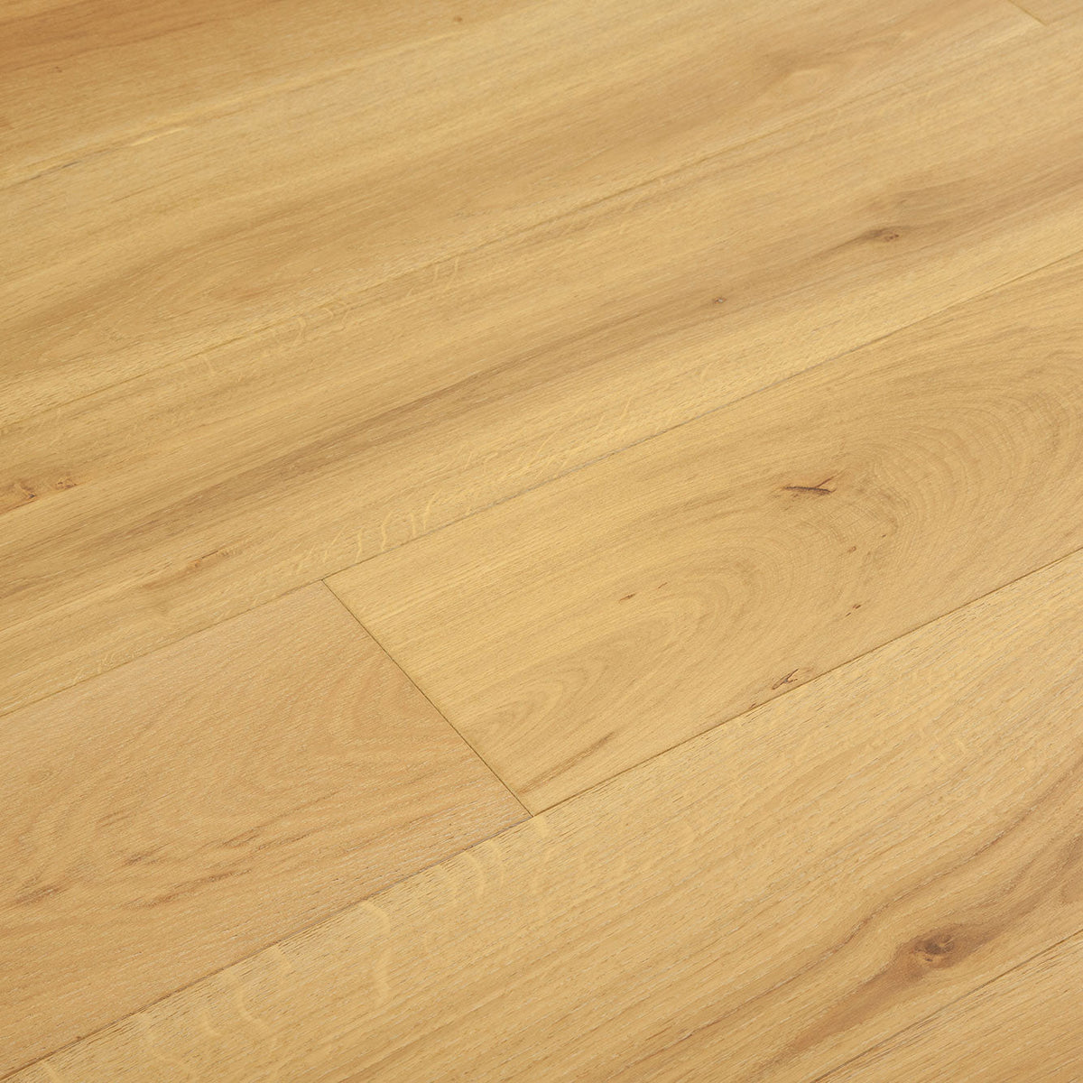 LongHorn White Oak Engineered Hardwood Flooring - 2.5mm Arizona