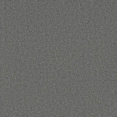 Grizzly 24oz Cut Pile Carpet Flooring - Bear Claw
