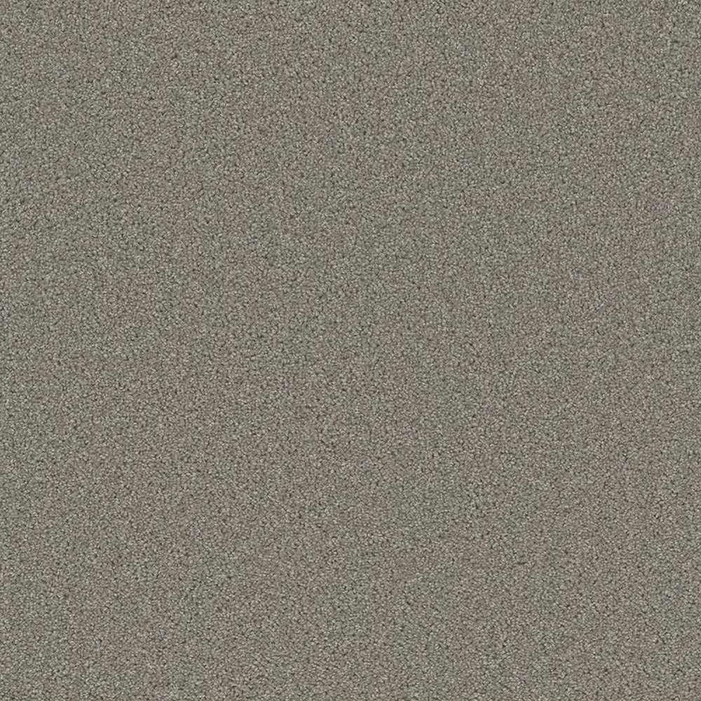 Grizzly 24oz Cut Pile Carpet Flooring - Forest