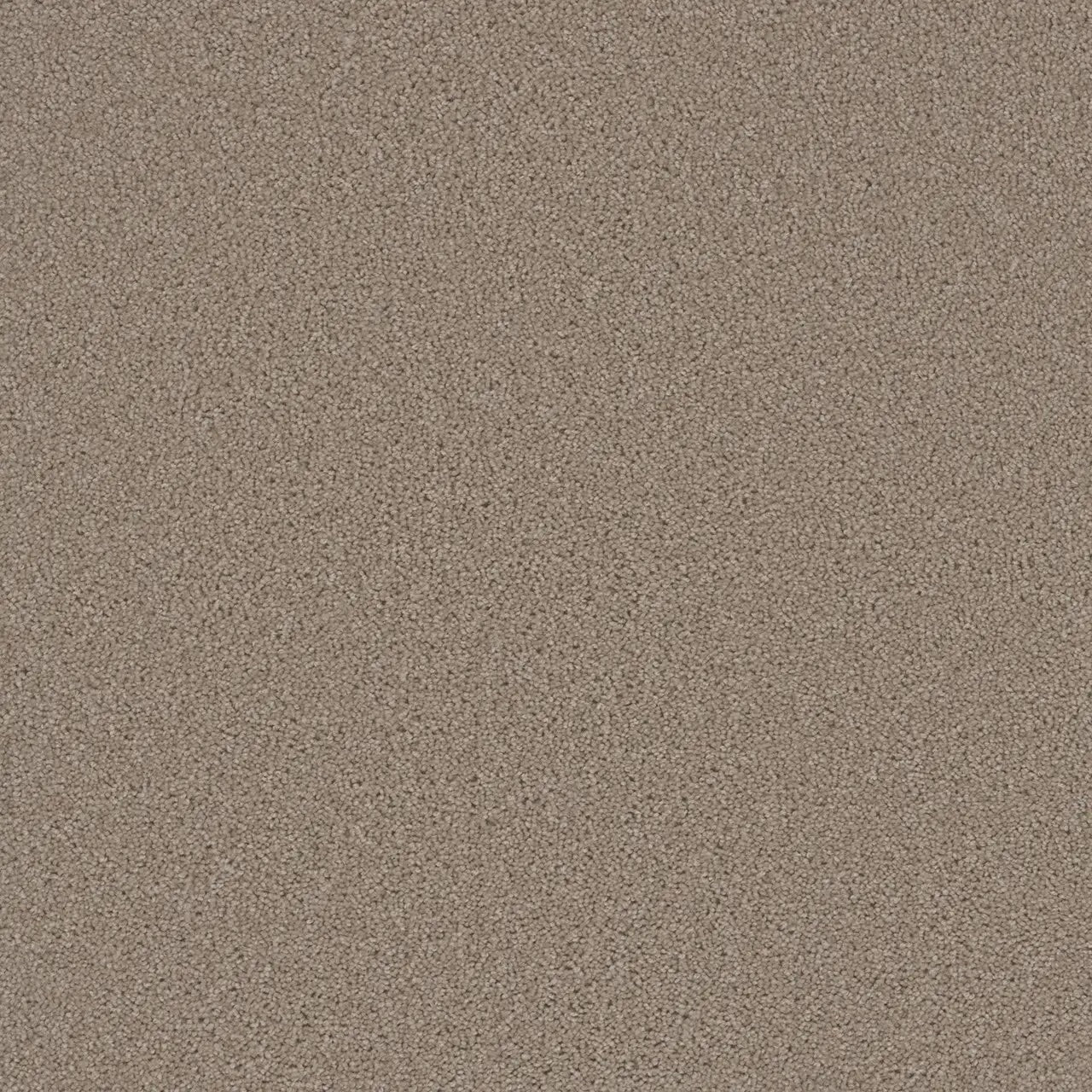 Grizzly 24oz Cut Pile Carpet Flooring - Hearth