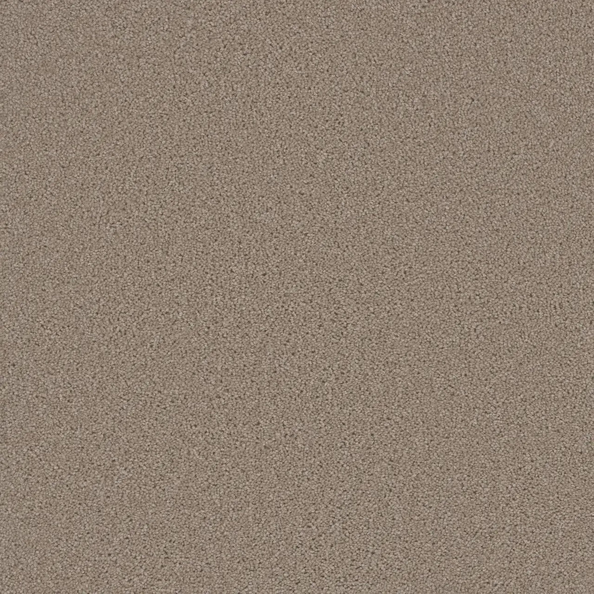 Grizzly 24oz Cut Pile Carpet Flooring - Hearth
