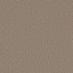 Grizzly 24oz Cut Pile Carpet Flooring - Hearth