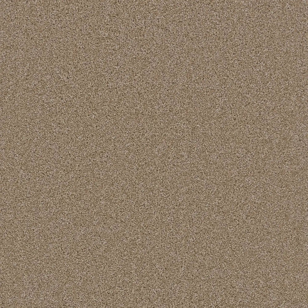 Grizzly 24oz Cut Pile Carpet Flooring - Timberline