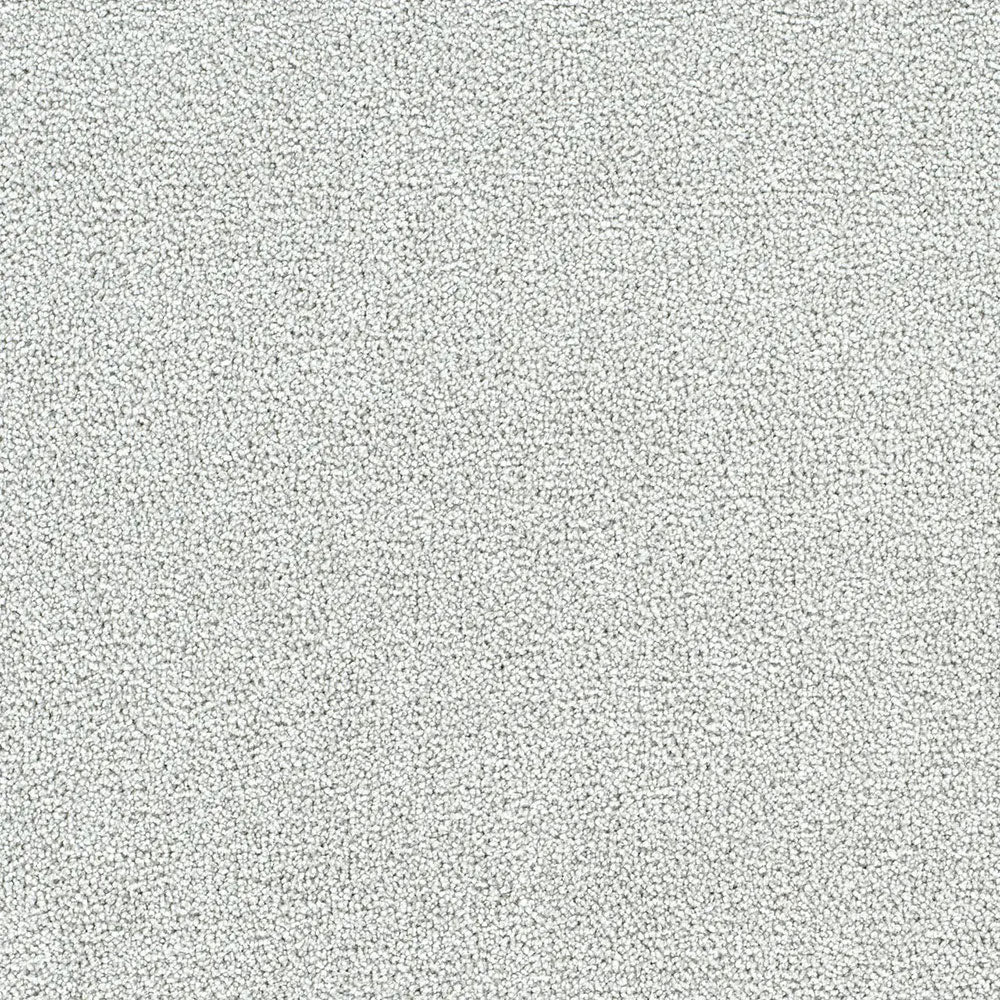 Polar 40oz Cut Pile Carpet Flooring - Arctic