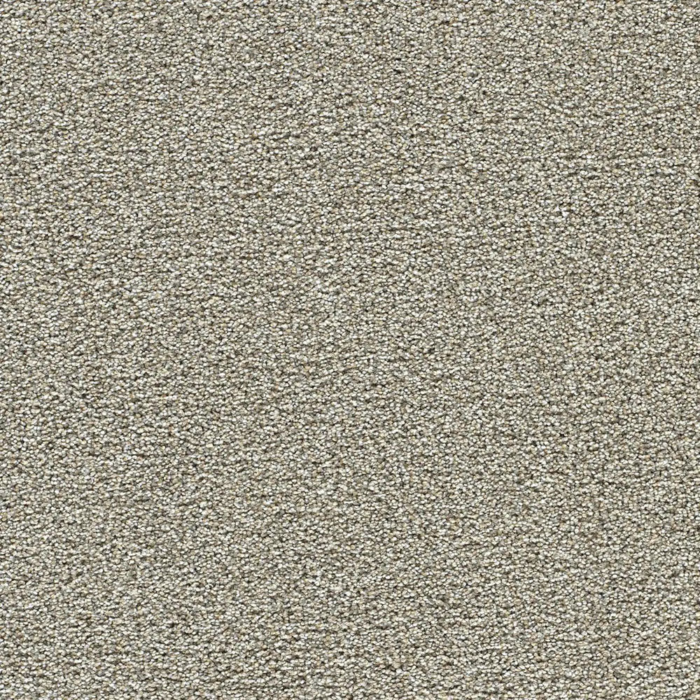 Polar 40oz Cut Pile Carpet Flooring - Glacier