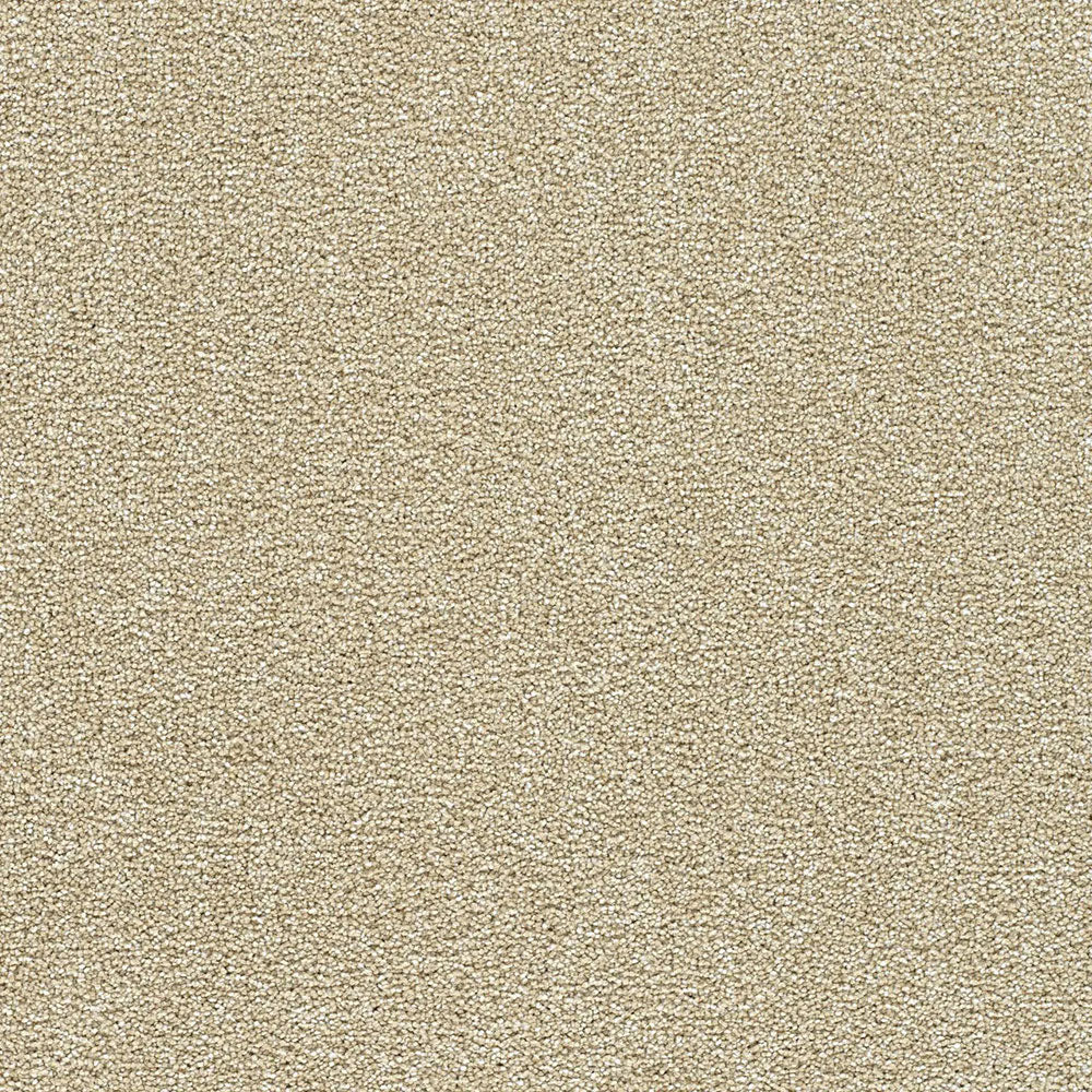 Polar 40oz Cut Pile Carpet Flooring - Ice