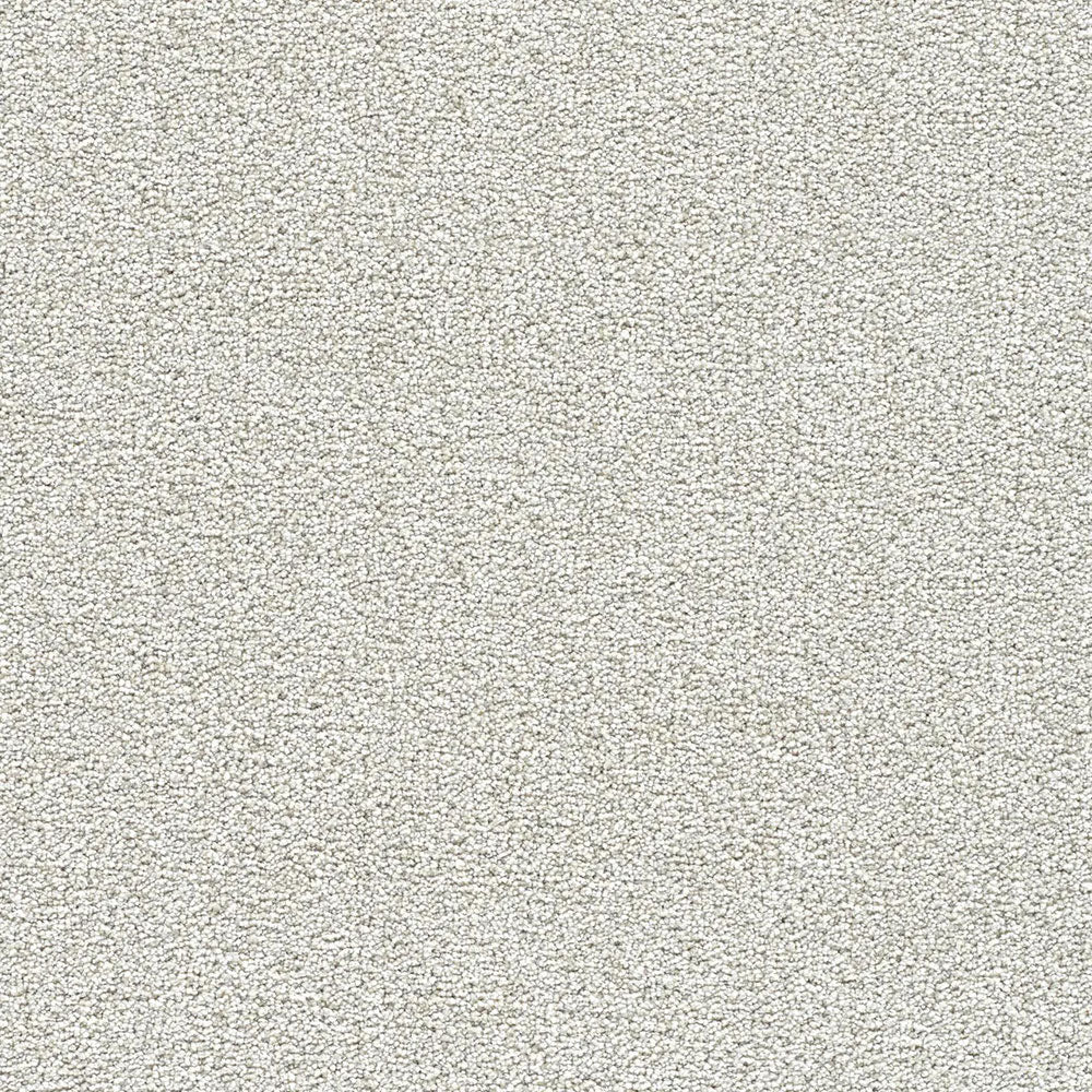 Polar 40oz Cut Pile Carpet Flooring - Snow
